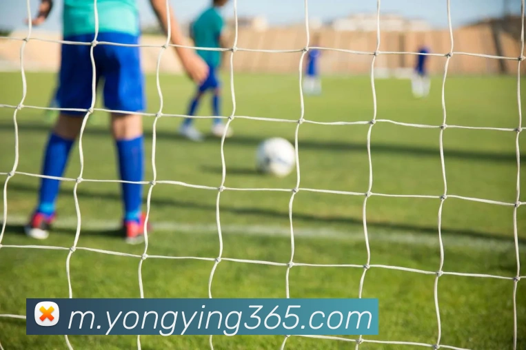 数据防护可视化